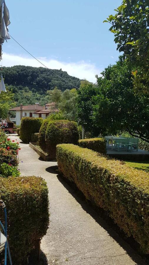Ferienwohnung Olivista Parga Exterior foto