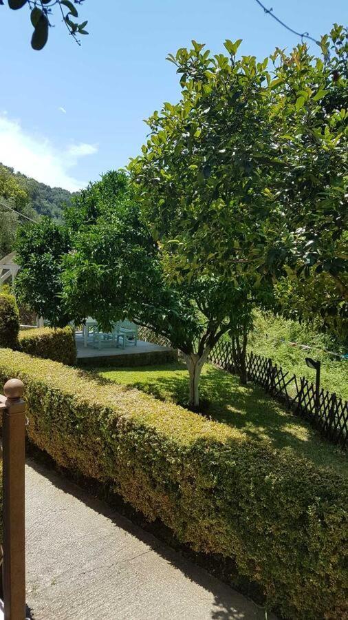 Ferienwohnung Olivista Parga Exterior foto
